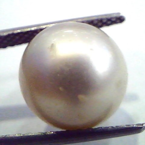 Huge 11.20 Carat Natural Certified Real South Sea Pearl,Certified Moti