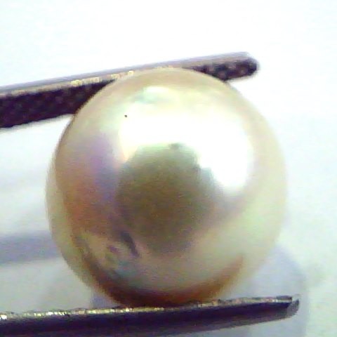 Huge 11.32 Carat Natural Certified Real South Sea Pearl,Certified Moti