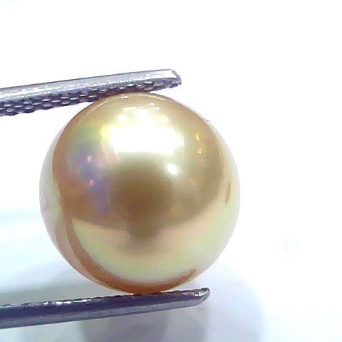 Huge 11.37 Ct Natural Certified Real South Sea Pearl Certified Moti