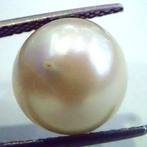 Huge 11.57 Carat Natural Certified Real South Sea Pearl,Certified Moti