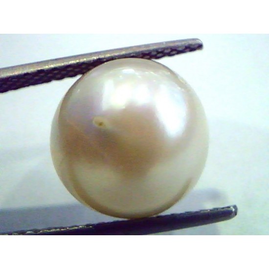 Huge 11.57 Carat Natural Certified Real South Sea Pearl,Certified Moti