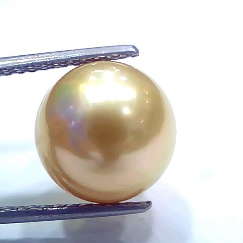 Huge 11.57 Ct Natural Certified Real South Sea Pearl Certified Moti