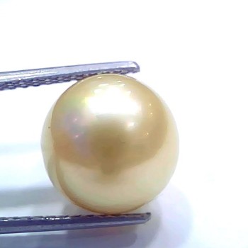 Huge 11.72 Ct Natural Certified Real South Sea Pearl Certified Moti