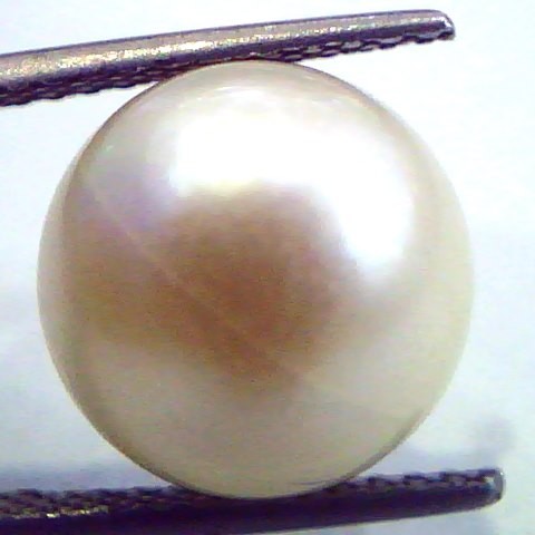 Huge 12.05 Carat Natural Certified Real South Sea Pearl,Certified Moti