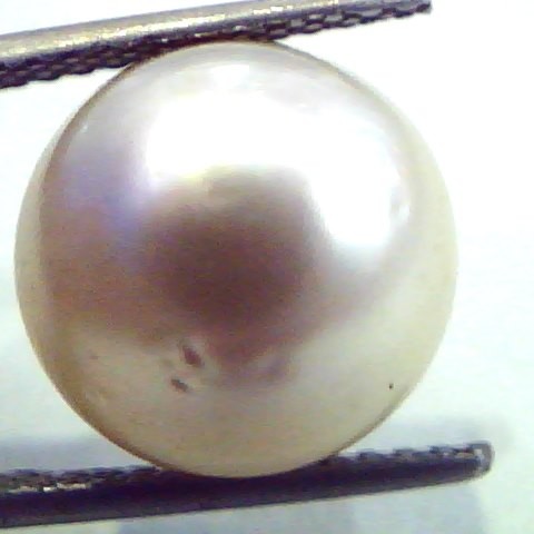 Huge 12.03 Carat Natural Certified Real South Sea Pearl,Certified Moti