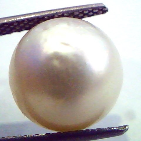 Huge 12.07 Carat Natural Certified Real South Sea Pearl,Certified Moti