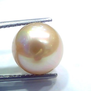 Huge 12.18 Ct Natural Certified Real South Sea Pearl Certified Moti