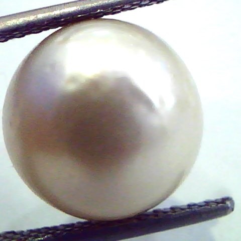 Huge 12.27 Carat Natural Certified Real South Sea Pearl,Certified Moti