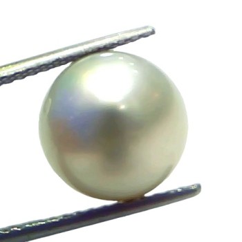 Huge 12.34 Ct Natural Certified Real South Sea Pearl Certified Moti Huge 12.34 Ct Natural Certified Real South Sea Pearl Certified Moti