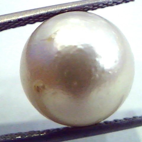 Huge 12.34 Carat Natural Certified Real South Sea Pearl,Certified Moti