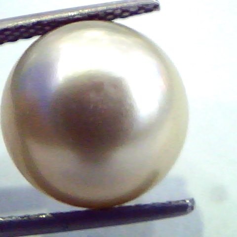 Huge 12.28 Carat Natural Certified Real South Sea Pearl,Certified Moti