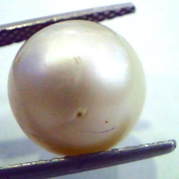 Huge 12.51 Carat Natural Certified Real South Sea Pearl,Certified Moti