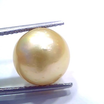 Huge 12.63 Ct Natural Certified Real South Sea Pearl Certified Moti
