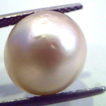 Huge 12.73 Carat Natural Certified Real South Sea Pearl,Certified Moti