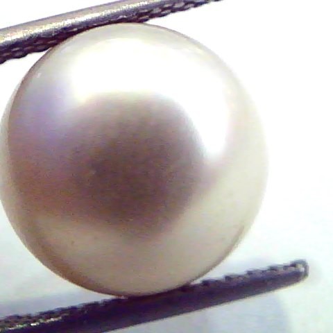 Huge 12.66 Carat Natural Certified Real South Sea Pearl,Certified Moti