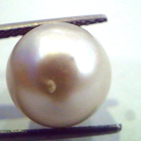 Huge 13.82 Carat Natural Certified Real South Sea Pearl,Certified Moti