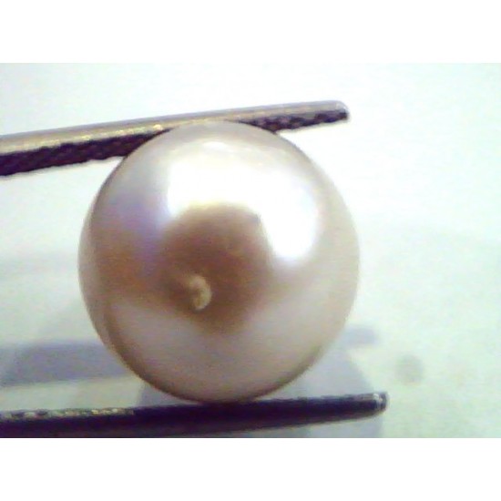Huge 13.82 Carat Natural Certified Real South Sea Pearl,Certified Moti