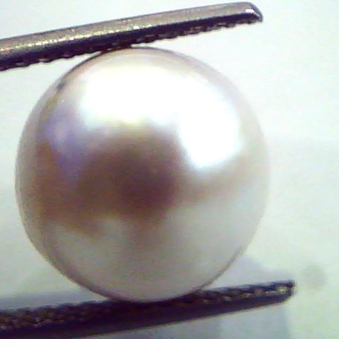 Huge 13.93 Carat Natural Certified Real South Sea Pearl,Certified Moti