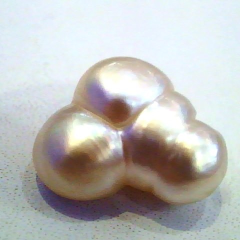Huge 13.83 Ct Certified Natural Real Venunjula Pearl,Real moti