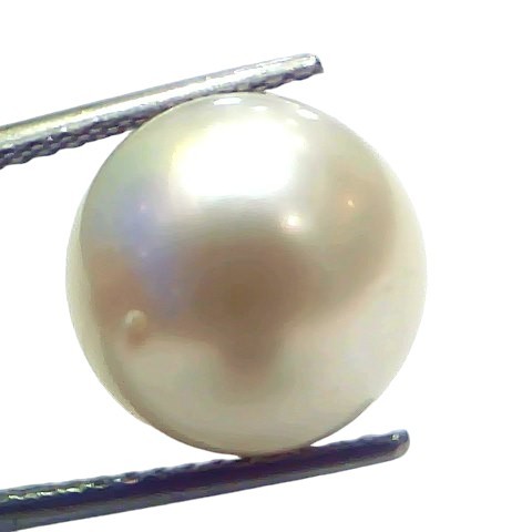 Huge 14.02 Ct Natural Certified Real South Sea Pearl Certified Moti Huge 14.02 Ct Natural Certified Real South Sea Pearl Certified Moti