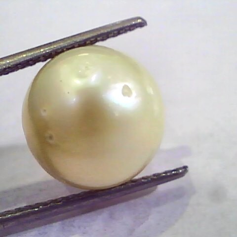 Huge 15.10 Carat Natural Certified Real South Sea Pearl,Certified Moti
