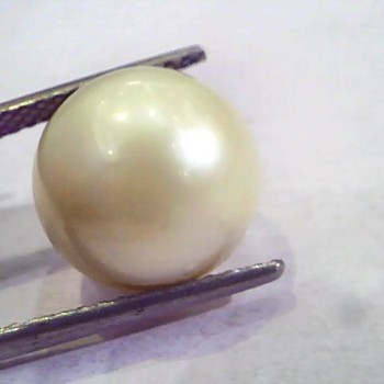 Huge 15.72 Carat Natural Certified Real South Sea Pearl,Certified Moti