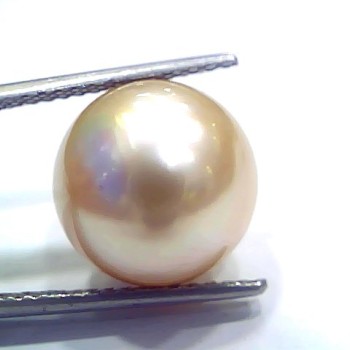 Huge 15.74 Ct Natural Certified Real South Sea Pearl Certified Moti