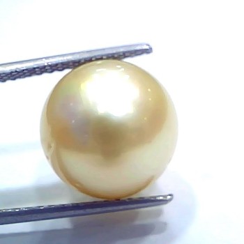 Huge 15.84 Ct Natural Certified Real South Sea Pearl Certified Moti