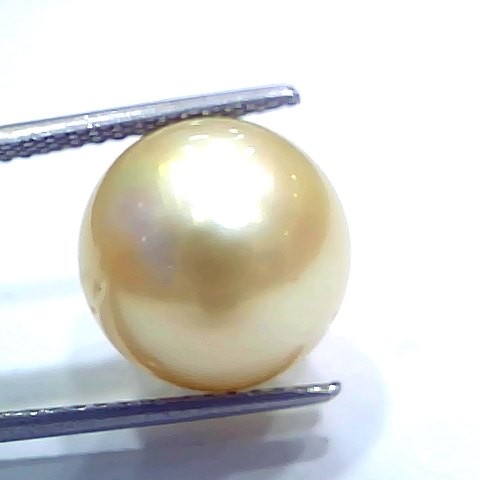 Huge 15.84 Ct Natural Certified Real South Sea Pearl Certified Moti