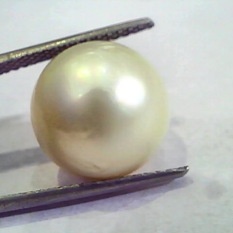 Huge 16.19 Carat Natural Certified Real South Sea Pearl,Certified Moti