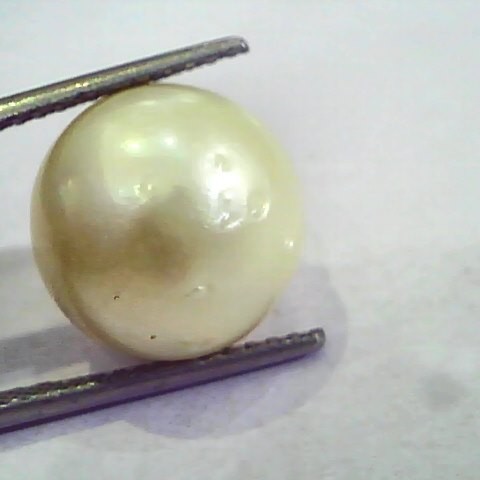 Huge 16.23 Carat Natural Certified Real South Sea Pearl,Certified Moti