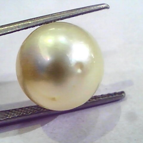 Huge 16.44 Carat Natural Certified Real South Sea Pearl,Certified Moti