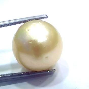 Huge 16.48 Ct Natural Certified Real South Sea Pearl Certified Moti