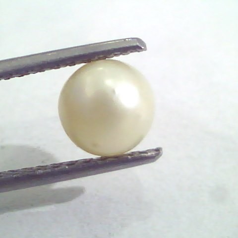 2.04 Ct Natural Certified Real South Sea Pearl,Certified Moti