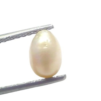 2.09 Ct Certified Natural Venunjula Real Sea Pearl Real Moti For Moon 2.09 Ct Certified Natural Venunjula Real Sea Pearl Real Moti For Moon
