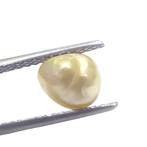 2.21 Ct Certified Natural Venunjula Real Sea Pearl Real Moti For Moon 2.21 Ct Certified Natural Venunjula Real Sea Pearl Real Moti For Moon