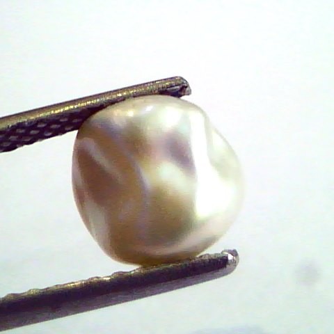 2.22 Carat Certified Natural Keshi Pearl,Certified Moti