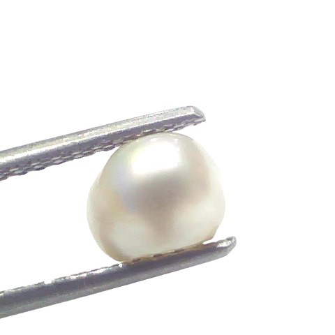 2.22 Ct Certified Natural Venunjula Real Sea Pearl Real Moti For Moon 2.22 Ct Certified Natural Venunjula Real Sea Pearl Real Moti For Moon