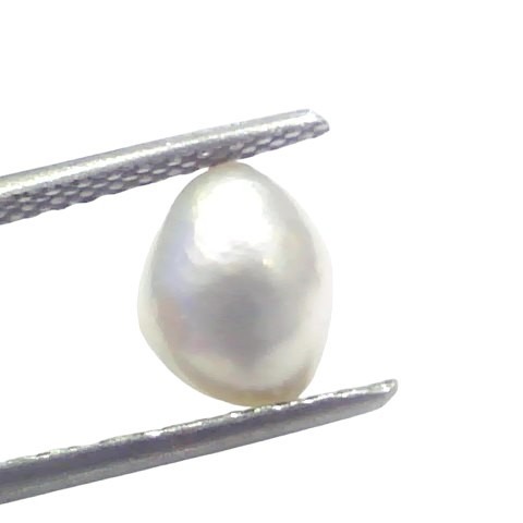 2.27 Ct Certified Natural Venunjula Real Sea Pearl Real Moti For Moon 2.27 Ct Certified Natural Venunjula Real Sea Pearl Real Moti For Moon