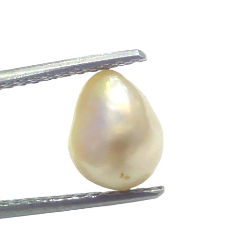 2.29 Ct Certified Natural Venunjula Real Sea Pearl Real Moti For Moon 2.29 Ct Certified Natural Venunjula Real Sea Pearl Real Moti For Moon