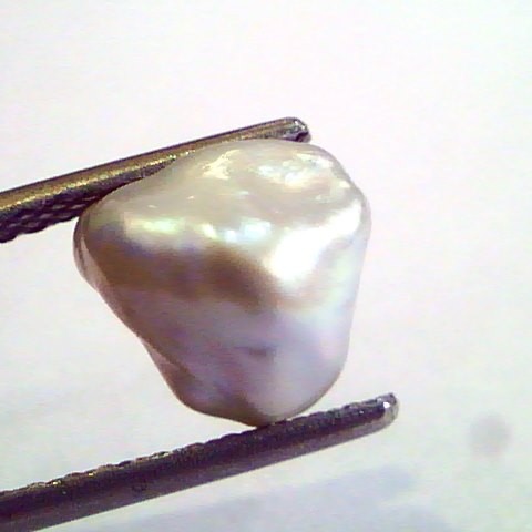 2.31 Carat Certified Natural Keshi Pearl,Certified Moti