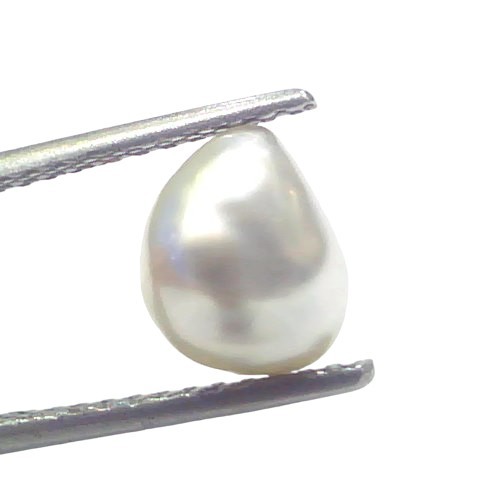 2.33 Ct Certified Natural Venunjula Real Sea Pearl Real Moti For Moon 2.33 Ct Certified Natural Venunjula Real Sea Pearl Real Moti For Moon