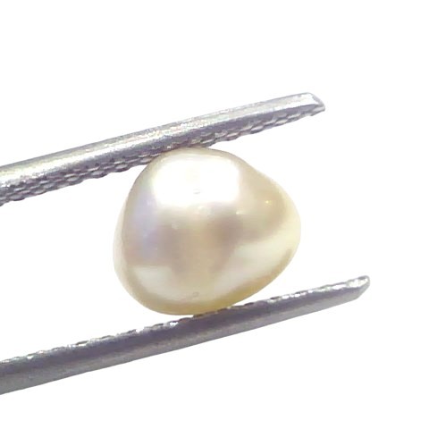 2.37 Ct Certified Natural Venunjula Real Sea Pearl Real Moti For Moon 2.37 Ct Certified Natural Venunjula Real Sea Pearl Real Moti For Moon