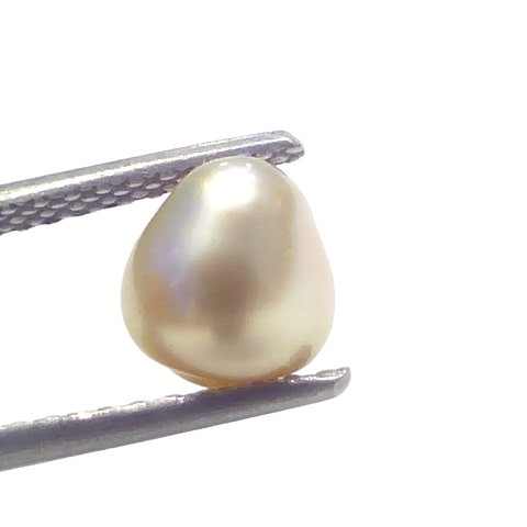 2.38 Ct Certified Natural Venunjula Real Sea Pearl Real Moti For Moon 2.38 Ct Certified Natural Venunjula Real Sea Pearl Real Moti For Moon