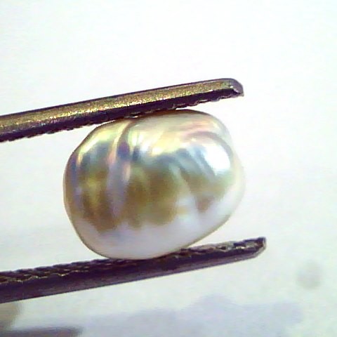 2.39 Carat Certified Natural Keshi Pearl,Certified Moti