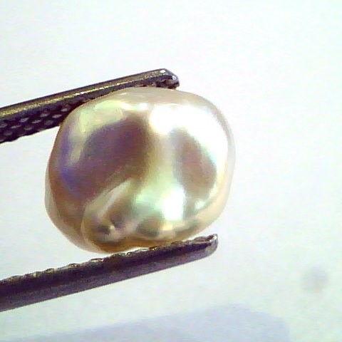 2.41 Carat Certified Natural Keshi Pearl,Certified Moti