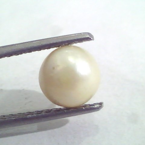 2.42 Ct Natural Certified Real South Sea Pearl,Certified Moti