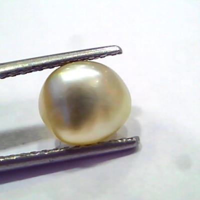 2.44 Ct Certified Natural Venunjula Real Sea Pearl, Real Moti