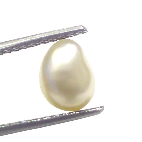 2.45 Ct Certified Natural Venunjula Real Sea Pearl Real Moti For Moon 2.45 Ct Certified Natural Venunjula Real Sea Pearl Real Moti For Moon