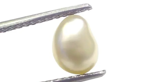 2.45 Ct Certified Natural Venunjula Real Sea Pearl Real Moti For Moon